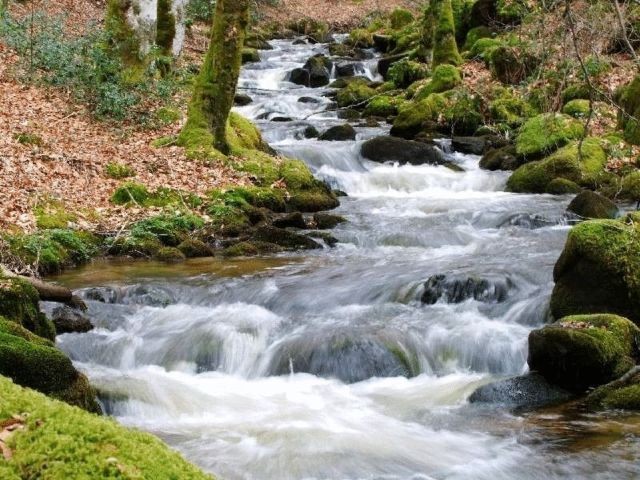 Near, Toy-Viam, Correze, Limousin - 2