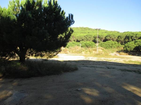 RUSTIC LAND IN BEGUR - 2