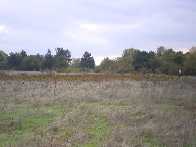 Land in Topola, Balchik