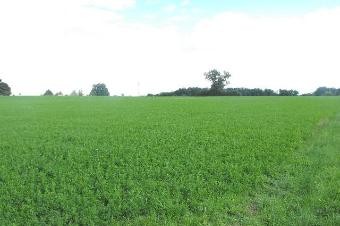 DORDOGNE land a batir of 2500 m2