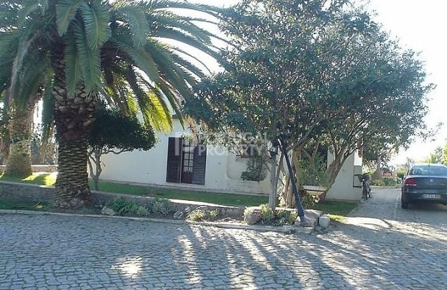 Farm with 11.000 sqm of land and 2.. - 2