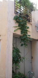 Cosy And Charming Village House With 98.. - 2