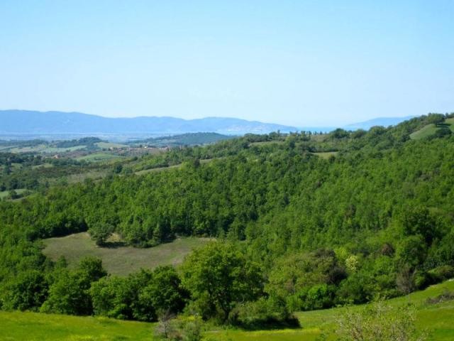 - Land - For Sale - 2
