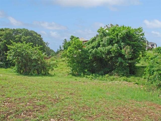 Property For Sale: Countryside Lot 30..
