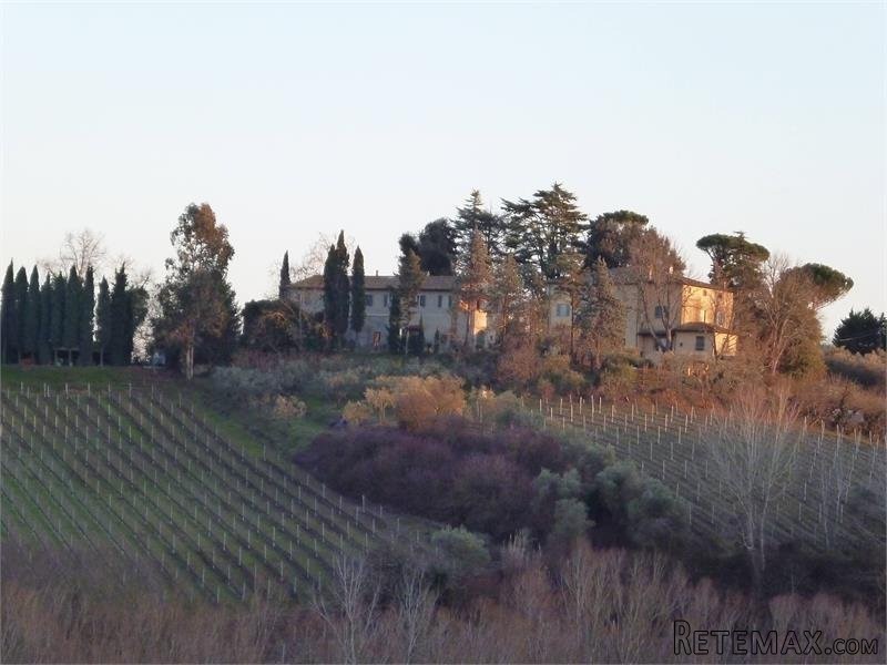11 bedroom Farm House For Sale: Pisa