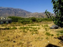 Land In Crete For Sale