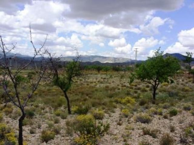 Parcel of land at La' Umbria near.. - 2
