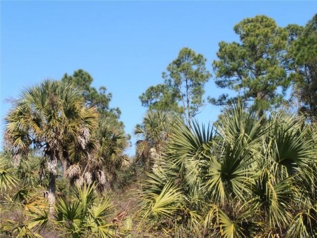 Land For Sale: Camel Ave, North Port.. - 2