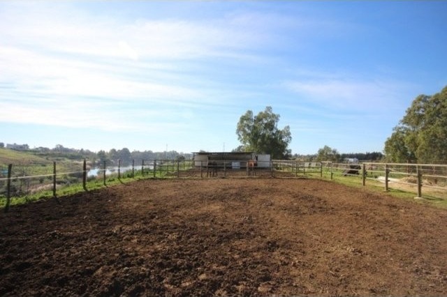 Land - Lovely finca, ideal for horse.. - 2