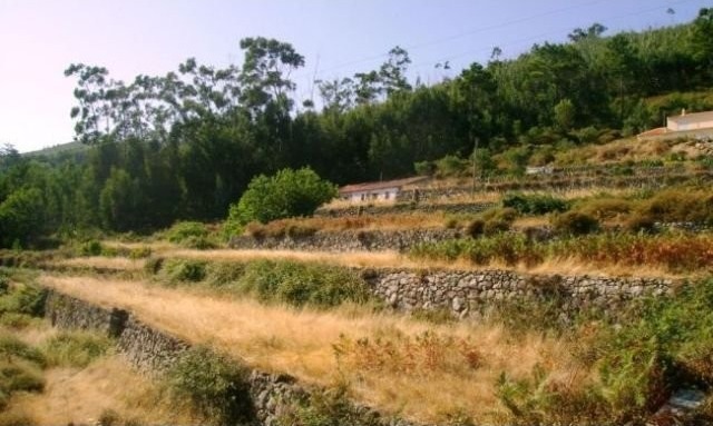 Tipical farm with 9.160 m2 of land..