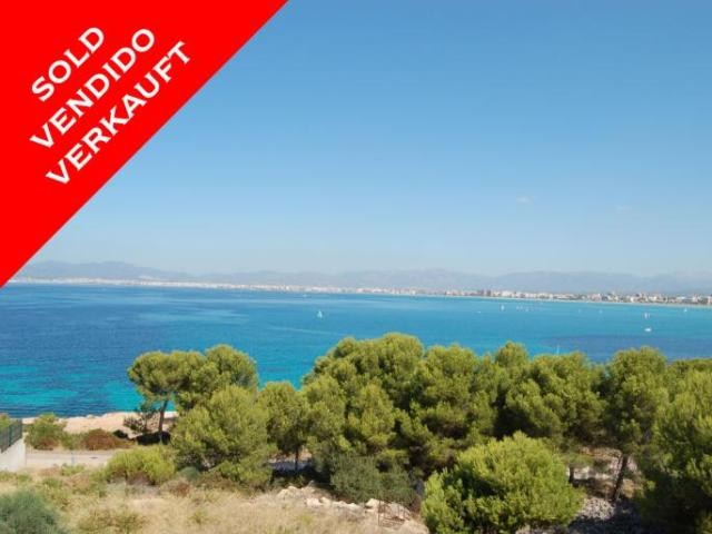 *SOLD* First sea line plot with..