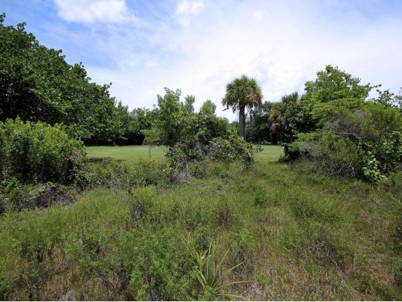 Land For Sale: Sanibel, Florida - 2