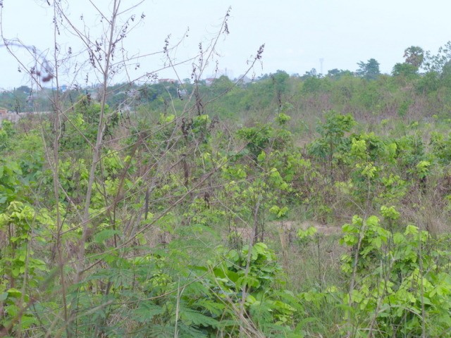 Large sea view building plot East.. - 2