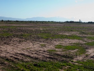 2 ha Plot of Land - Titled - Rte.. - 2