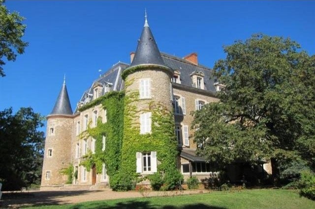20 bedroom Castle For Sale: 71 SAONE ET..