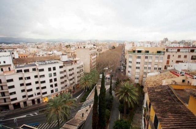 Large Flat In The Center Of Palma Near.. - 2