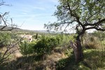 4 Bedrooms - Land - For Sale - 2