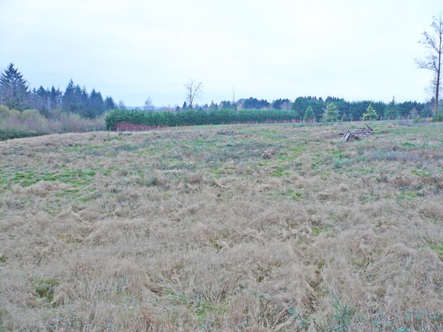 Building Land In North Dordogne.. - 2