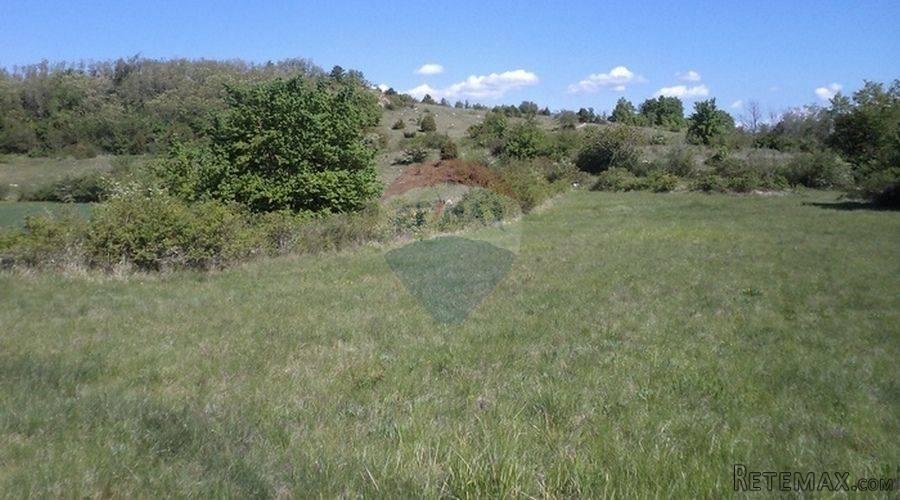 Istra, poljoprivredno zemljište - 3