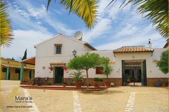 Finca Centro hipica cuadra casa de..