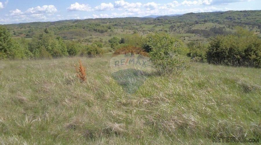 Istra, poljoprivredno zemljište - 4