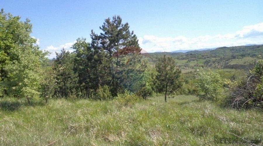 Istra, poljoprivredno zemljište - 5