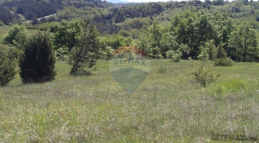 Istra, poljoprivredno zemljište - 6