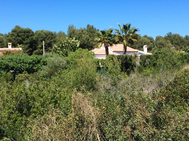 Plot in Javea