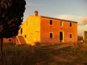 San Llorenç, area Artà, typical a..