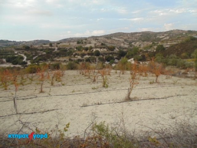 Agricultural Land in Psathi, Pafos