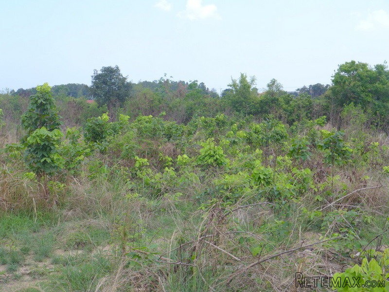 Large sea view building plot East..