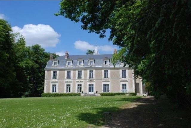 10 bedroom Castle For Sale: 41000 BLOIS - 2