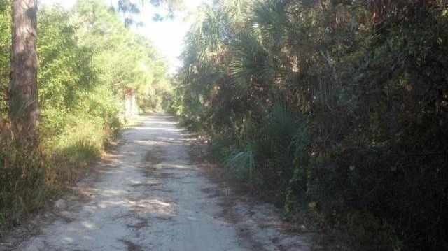 Land For Sale: 0 Bear Trail - 2