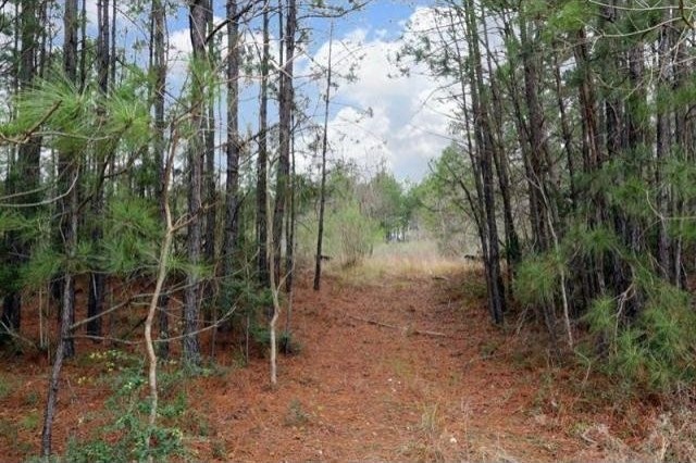 Farm House For Sale: A0467 Reynolds.. - 2