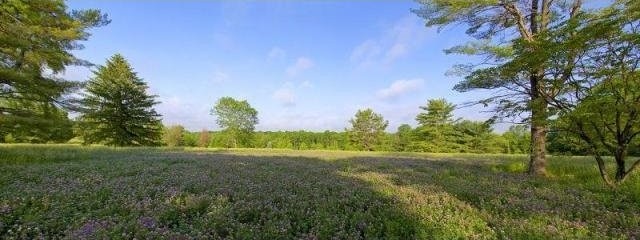 Land For Sale: 11 Griffin Ln - 2