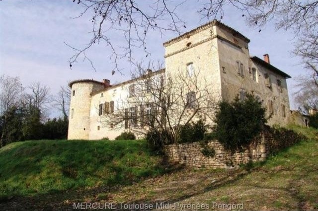 6 bedroom Castle For Sale: 81000 TARN