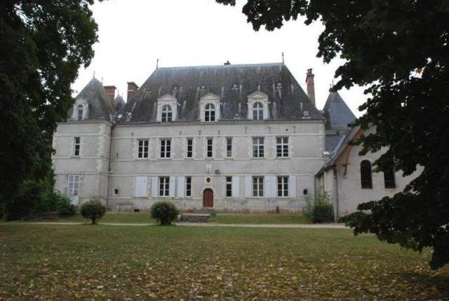 10 bedroom Castle For Sale: 41000 BLOIS