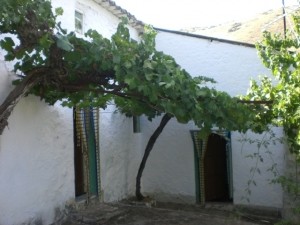 Cortijo, Iznajar - 2