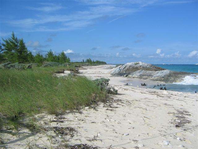 Singlefamilyvacant - Gilpin Point is an..