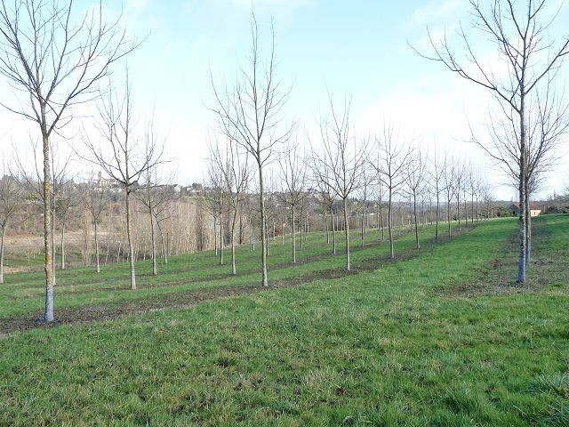 Vente Maison Belves - 2