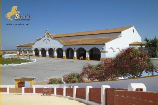 Cattle farm ranch Cortijo studfarm..