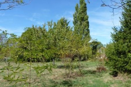 Stone House For Sale St Jean D Angely - 2