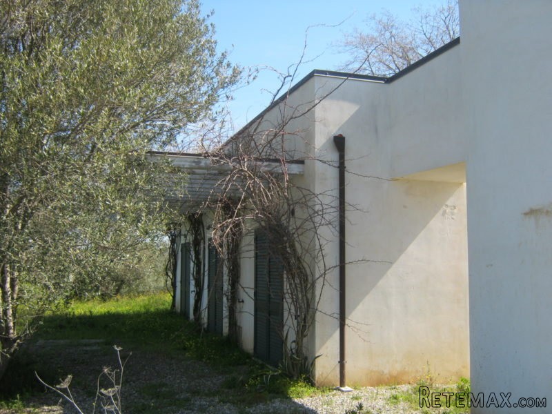 Villa Orsini, Cocorino - 2