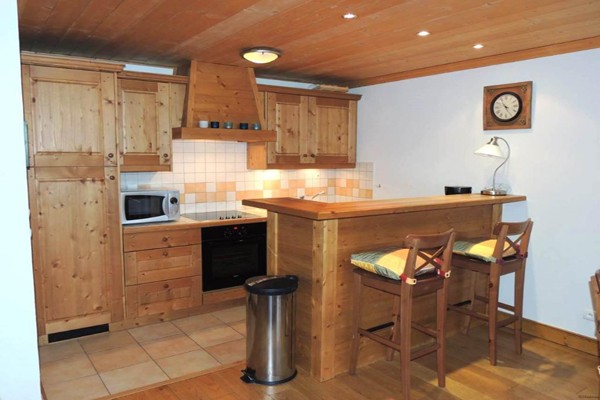 Ski in and out 3 bedroom immaculate.. - 2