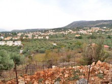 Land Property In Crete For Sale