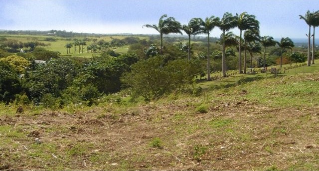 Property For Sale: Westmoreland Ridge.. - 2