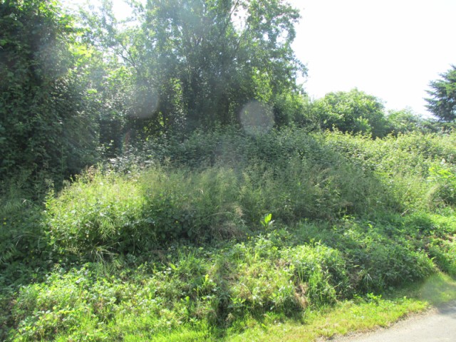 Building Plot - 2