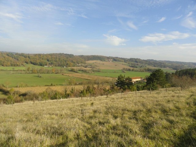 26029 - Vente - Terrain - Vergt - 2