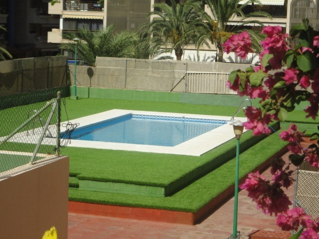 Apartment - Middle Floor Apartment..