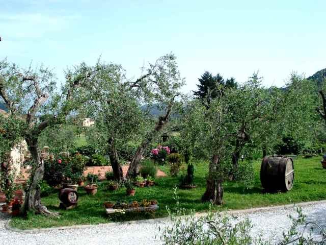 Country/farmhouse - For Sale - South of.. - 2